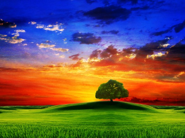 PRE�UDOVITI SON�NI ZAHOD - SUNSET